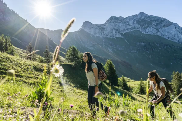Randonnée en montagne