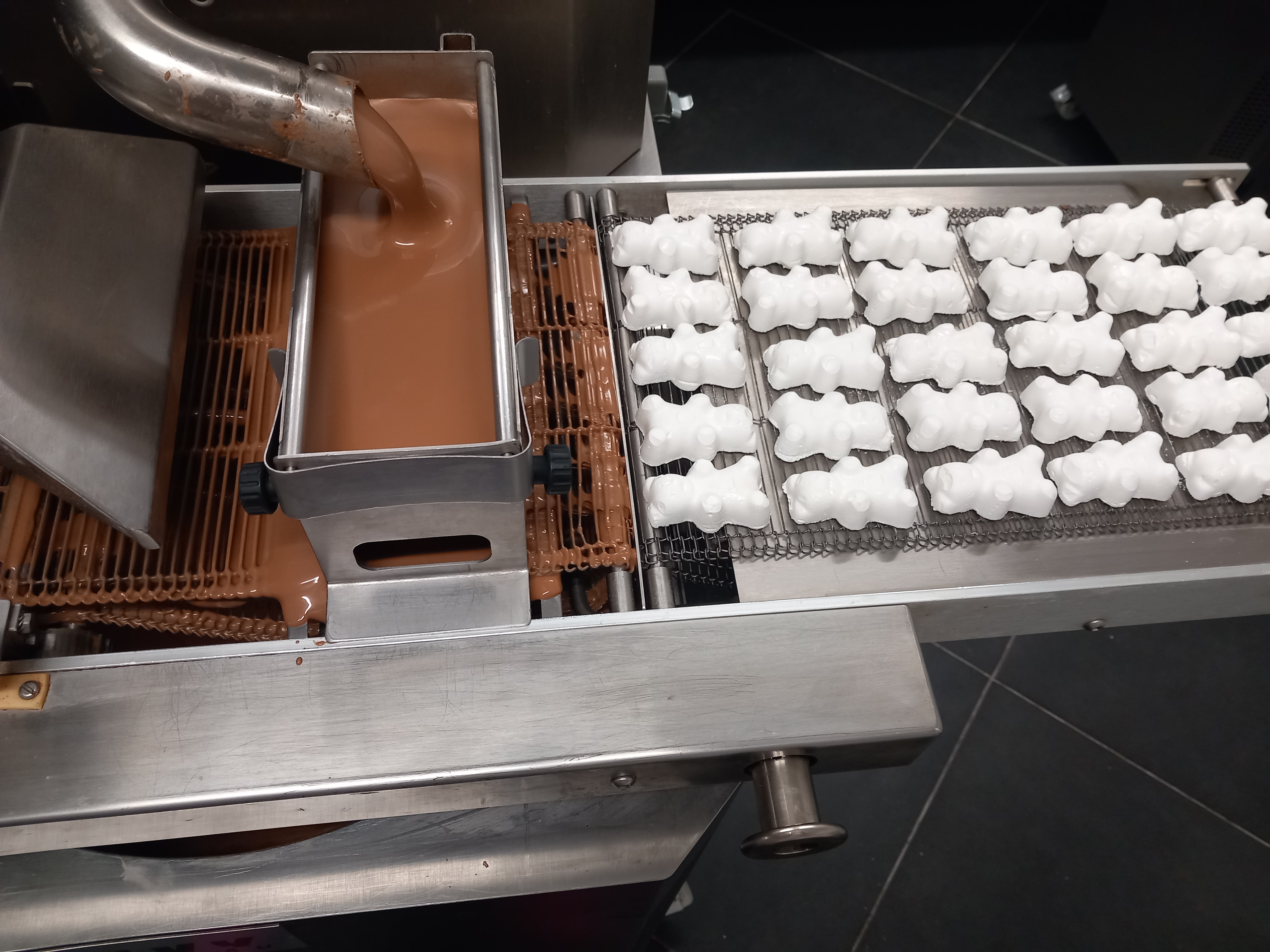 enrobage ourson guimauve au chocolat au lait