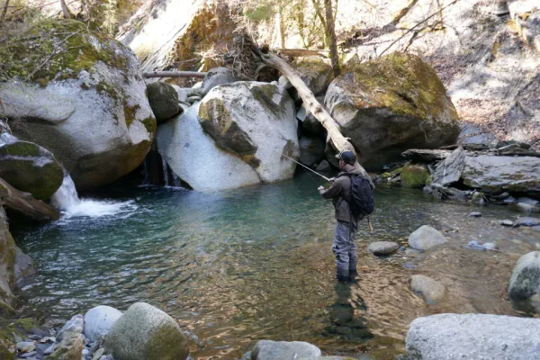 pêche torrent