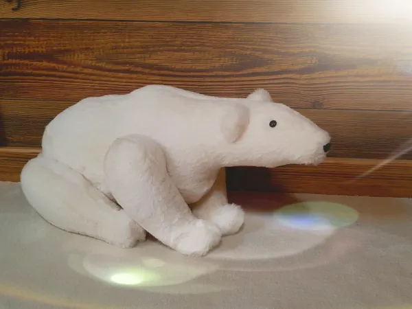 Ours polaire