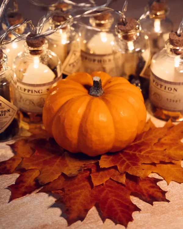 Atelier Citrouilles d'Halloween