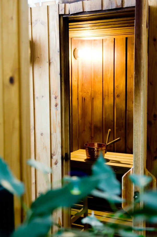 Sauna privatif