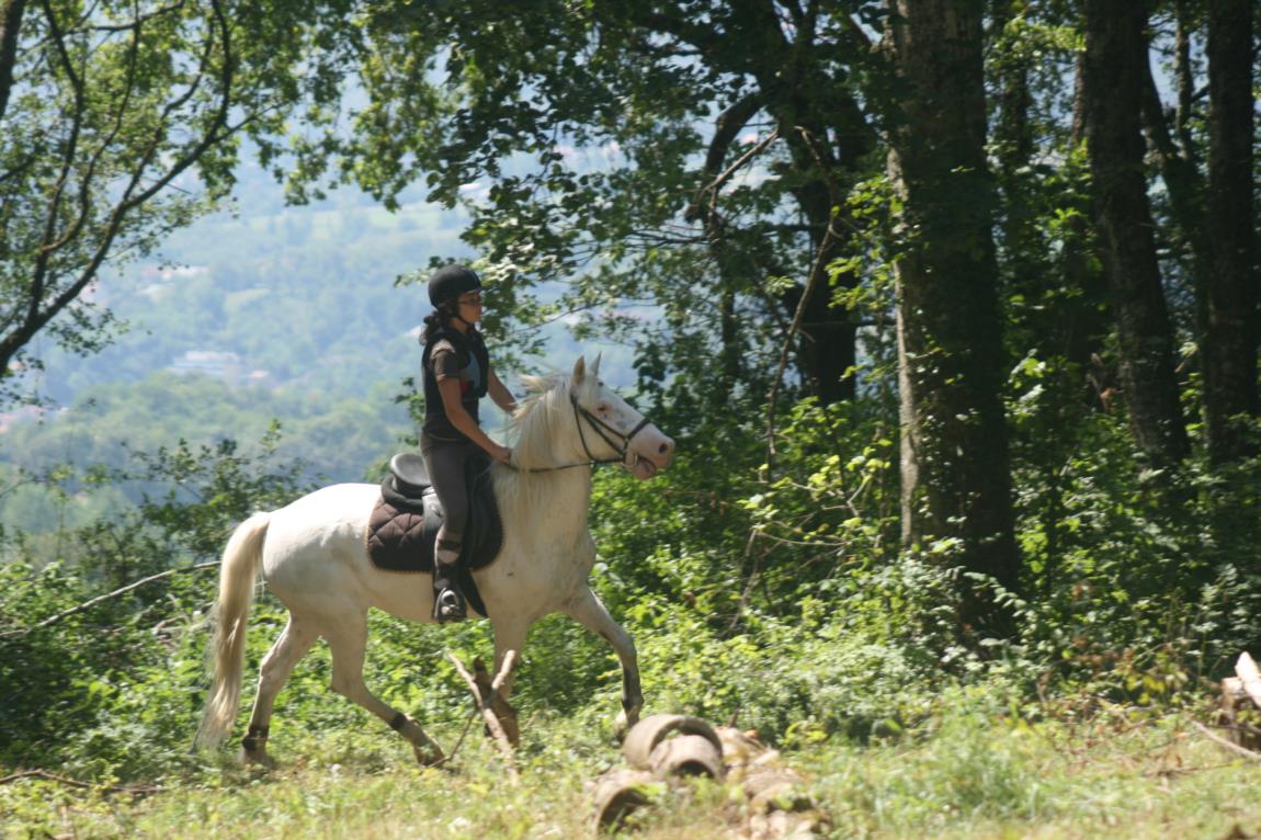 Balade à cheval à Bloye