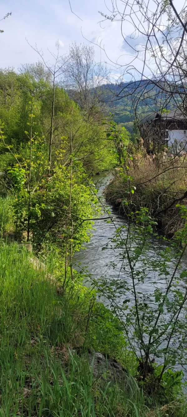 Balade le long de la Bialle_Sallanches