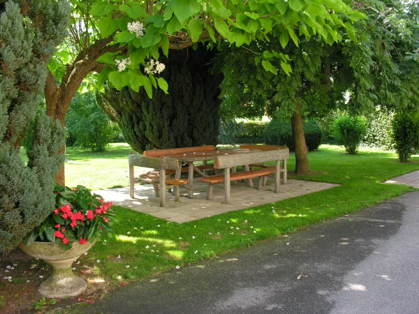 Jardin