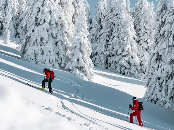 Ski de randonnée