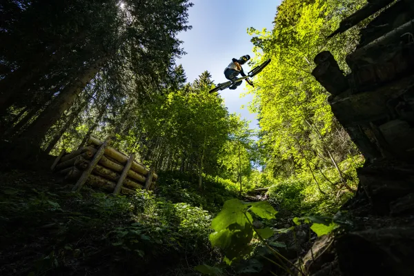 Domaine VTT Châtel
