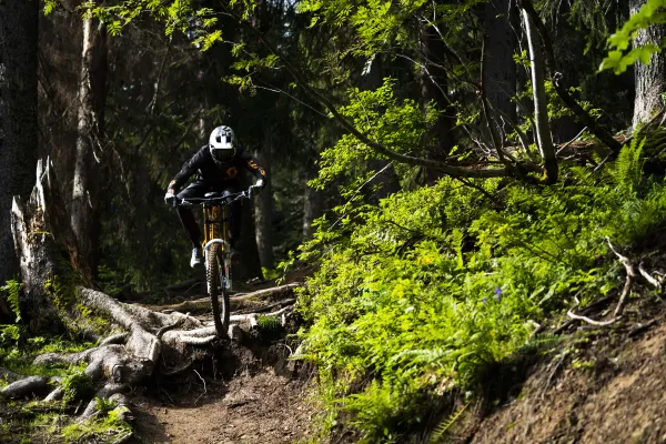 Domaine VTT de Châtel
