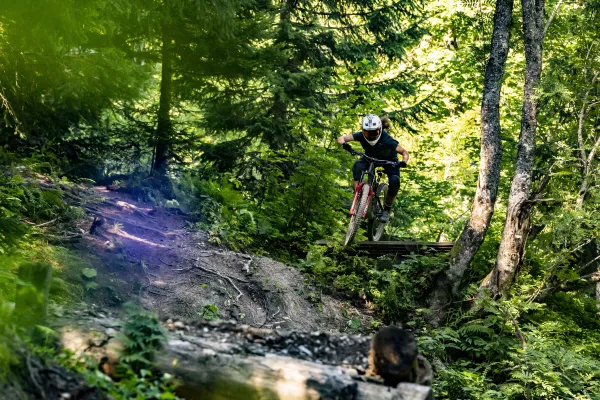Domaine VTT de Châtel