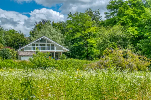 vue depuis la prairie privative