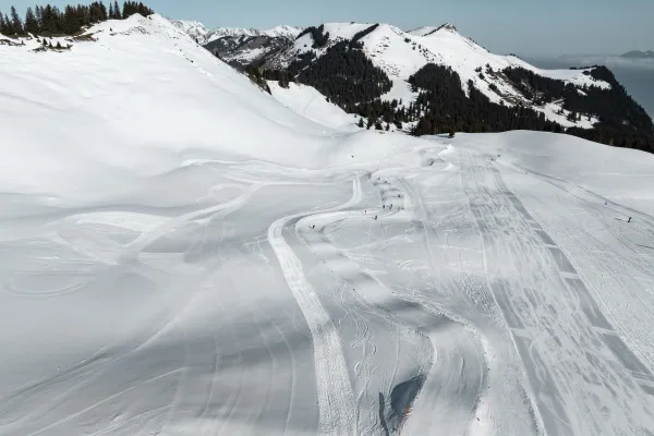 Boarder ludique