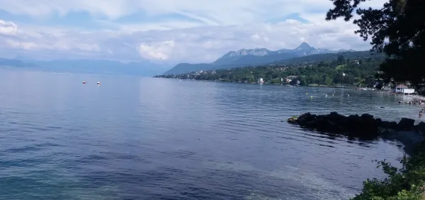 Vue depuis le local