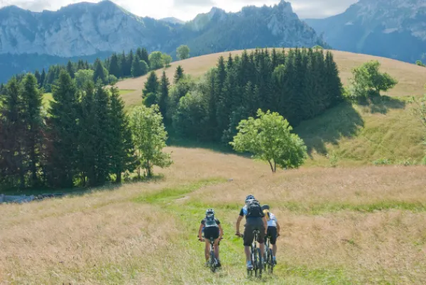 Encadrement VTT - VAE