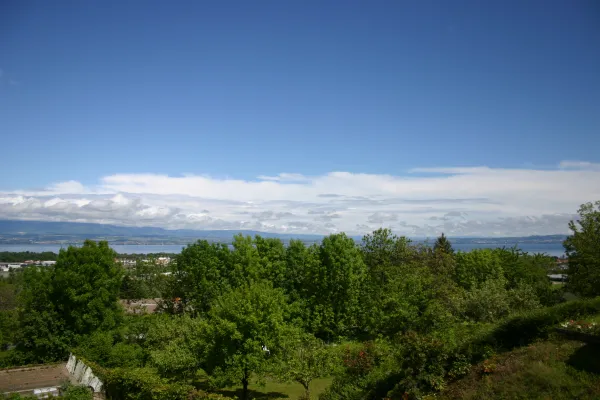 vue