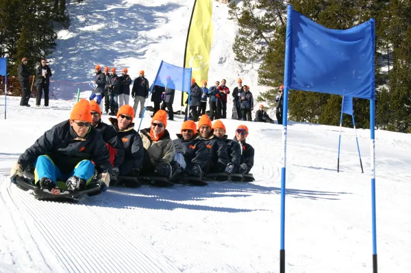Cameleon Alpes