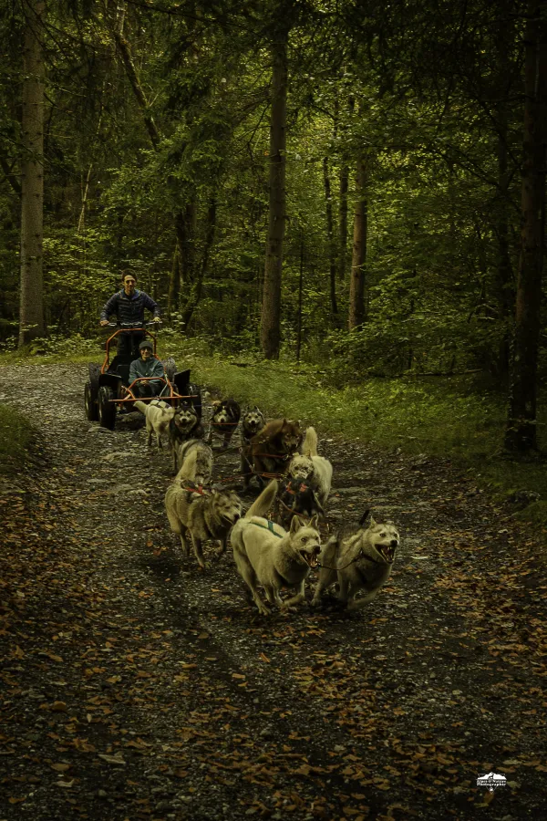 Cani Kart