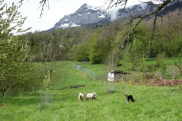 Heureuses dans les montagnes