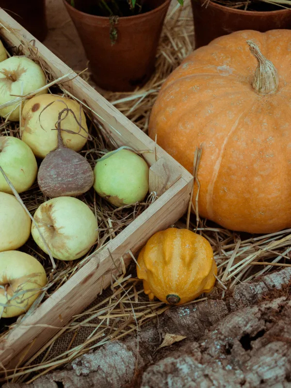Fête de l'Automne