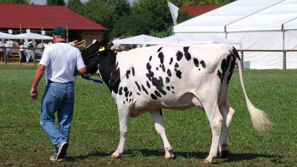 Foire agricole de rumilly