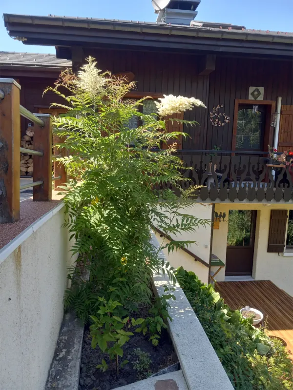 Jardin en terrasses 