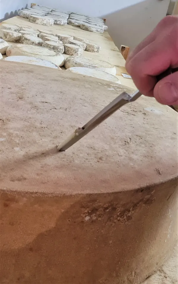 Fromagerie de la Cochette