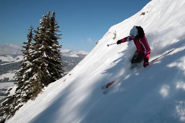 ski
