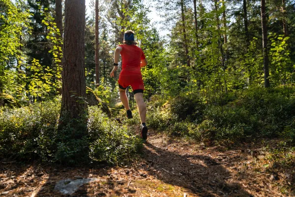 Initiation au trail