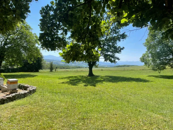 Extérieur & Jardin