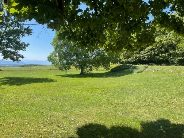 Extérieur & Jardin