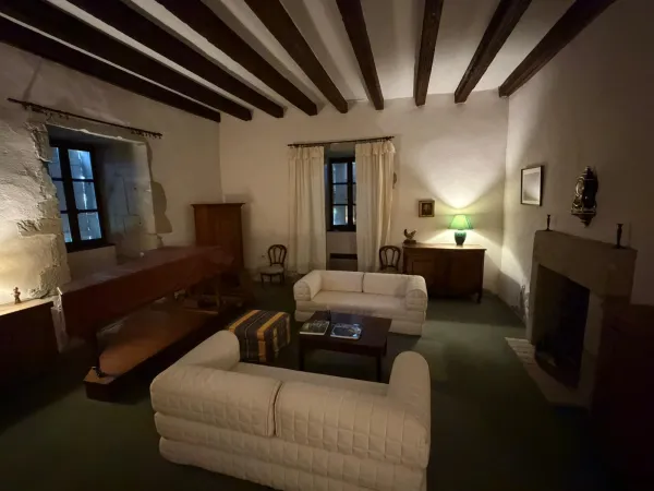 Suite Lion