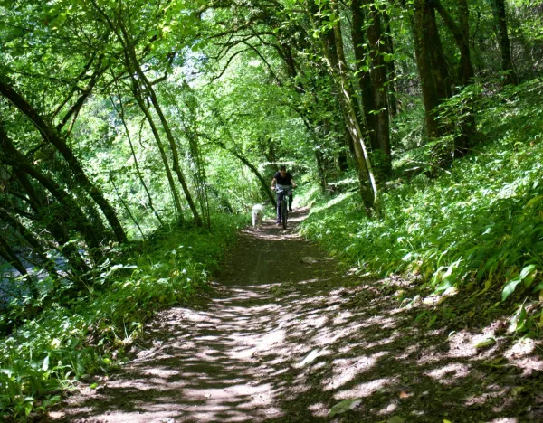 K2 vtt en forêt