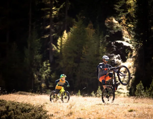 vtt