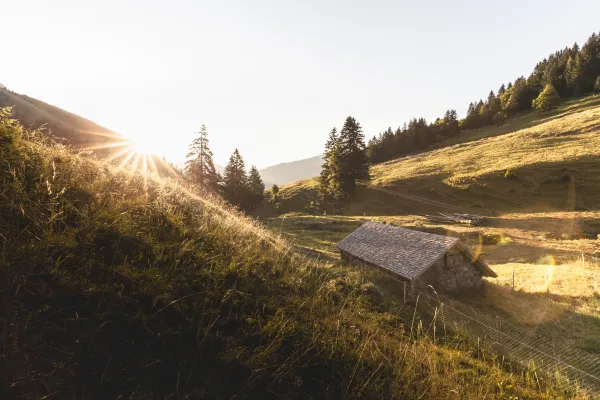 Paysage des Alpage