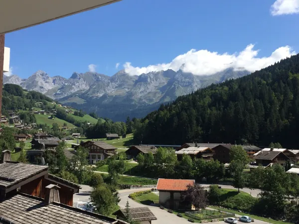 Vue depuis l'appartement été/View from the apartment summer-Danay-Le Grand-Bornand