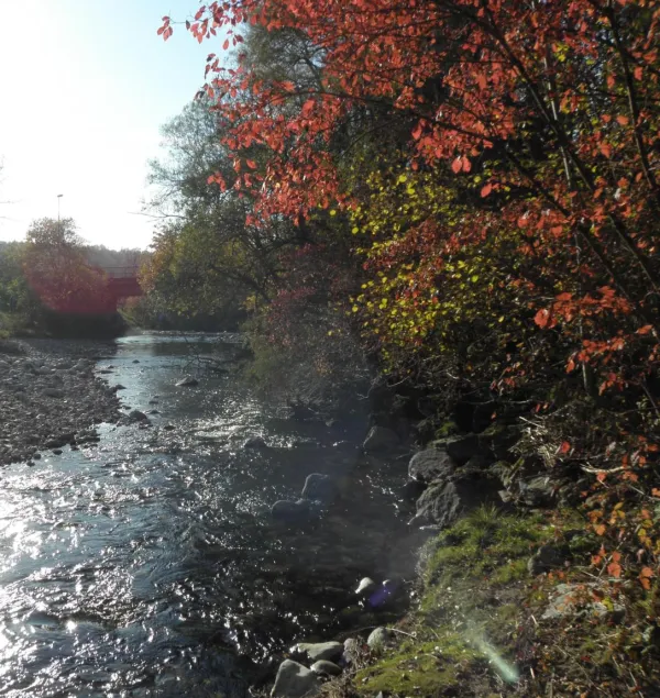 La Fillière