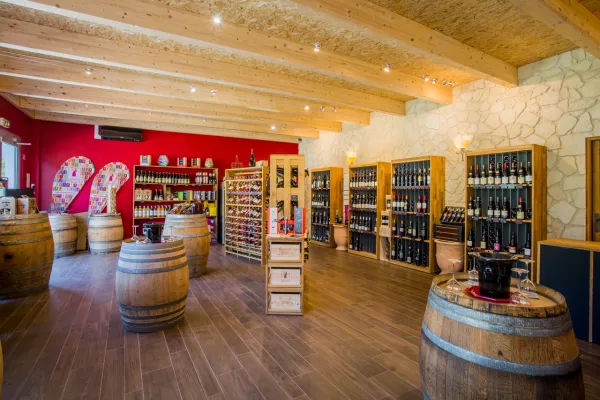 Dégustation de vins