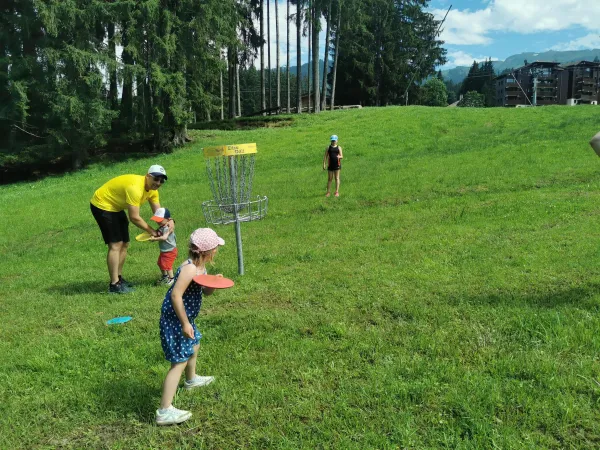 Disc Golf