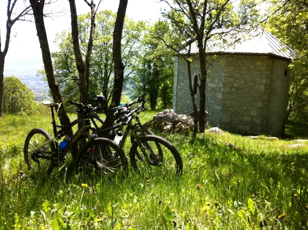 Rando VTT