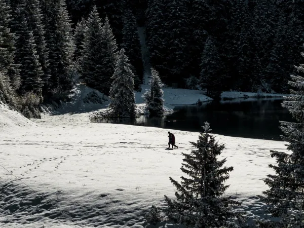 Le lac de la Mouille en hiver
