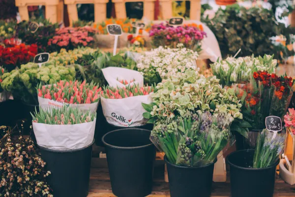 Fleuriste