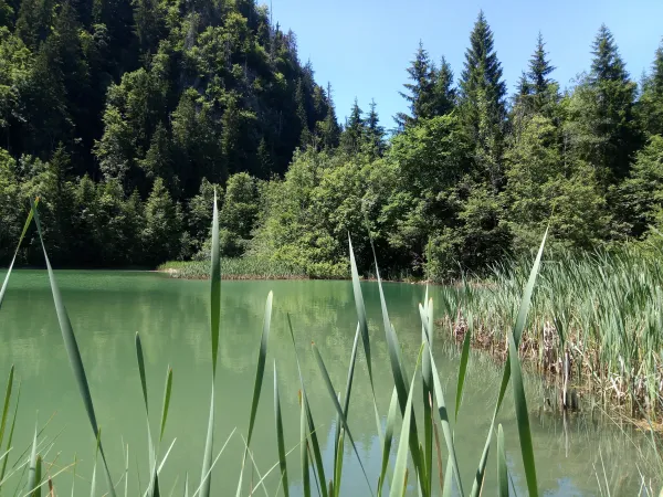 Lac de Vallon