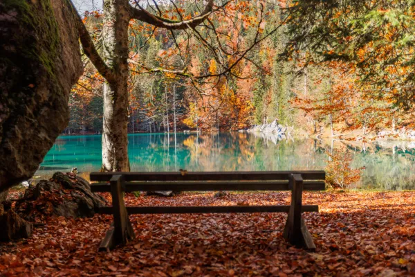 Lac Vert_Passy