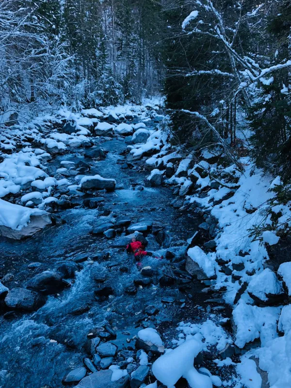Canyon hivernal