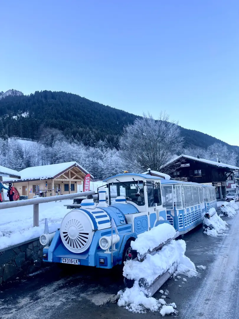 Trains touristiques