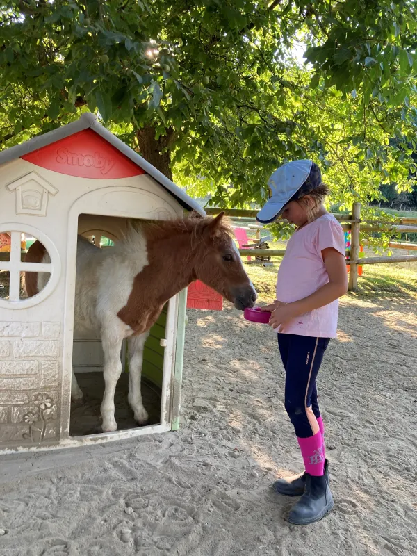 Poney Bloye