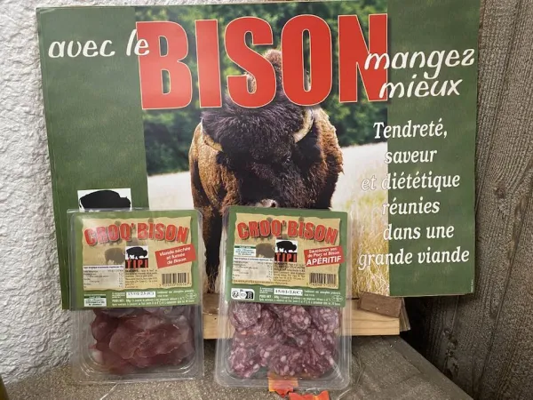 L'élan du Québec