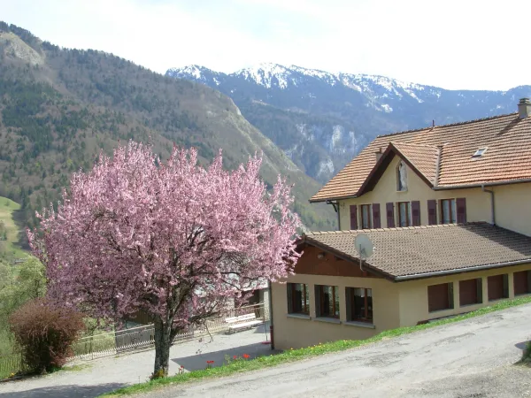 extérieur vue montagnes