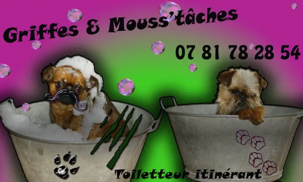 Griffes et moustaches