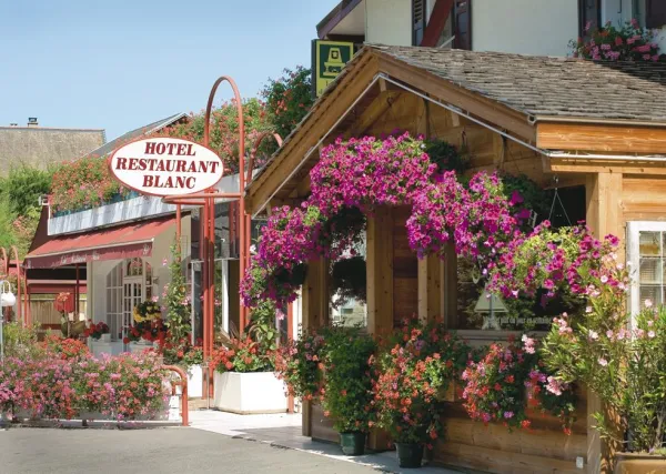 Hôtel Restaurant Blanc Marigny-Saint-Marcel
