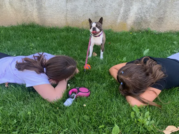 atelier agility avec chien
